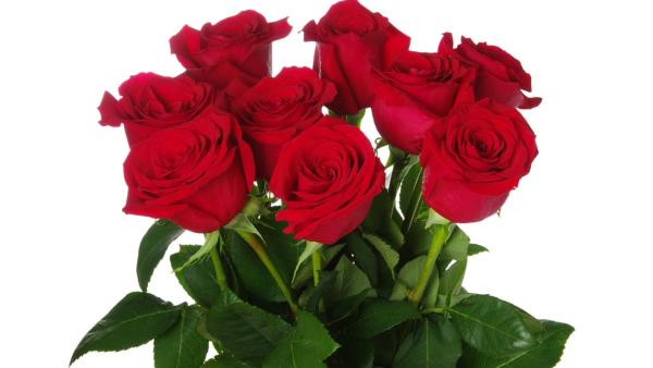 Bouquet di roselline rosse.